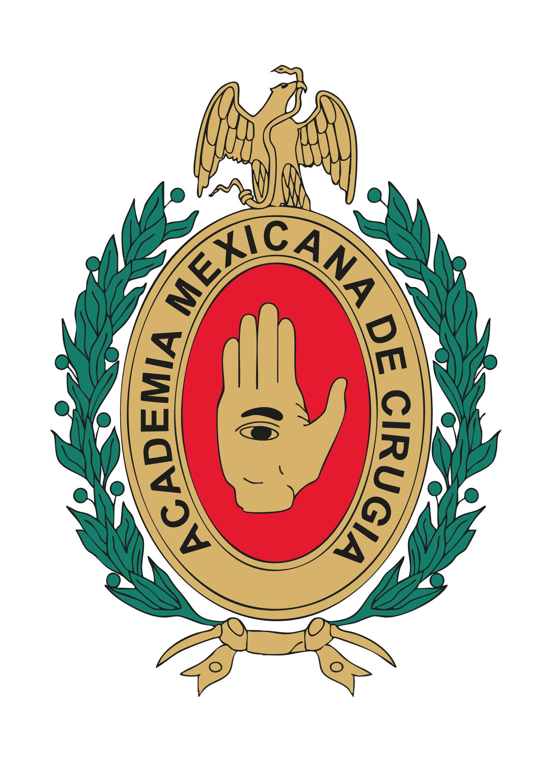 Directivo - Atrás
